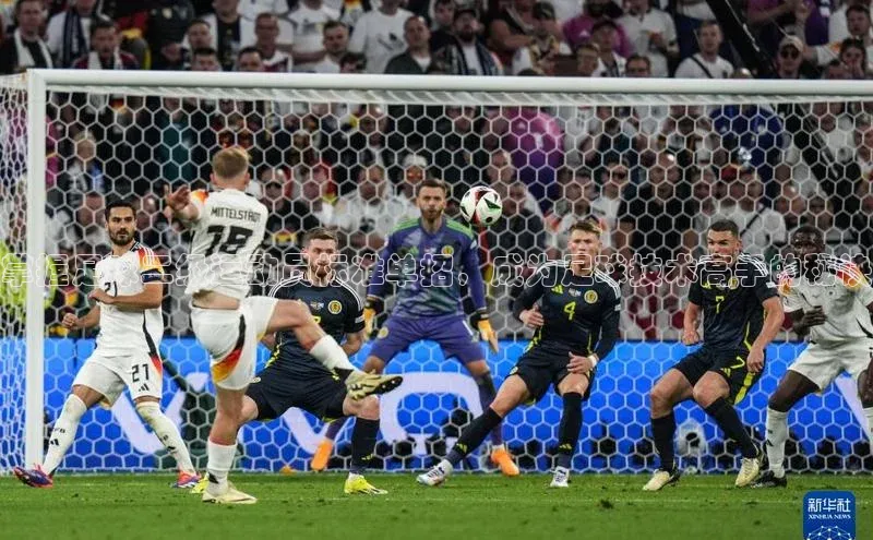 杏耀平台登录入口赛富乐斯