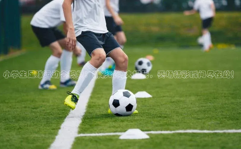 杏耀平台登录方式知乎