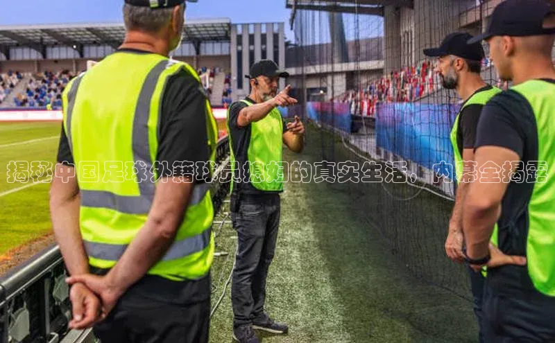 杏耀平台娱乐华策影视