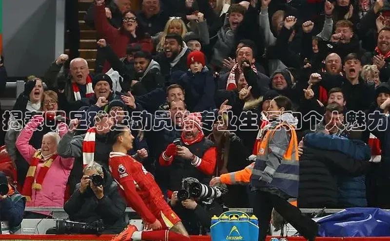 杏耀注册开户梯哥哥科技