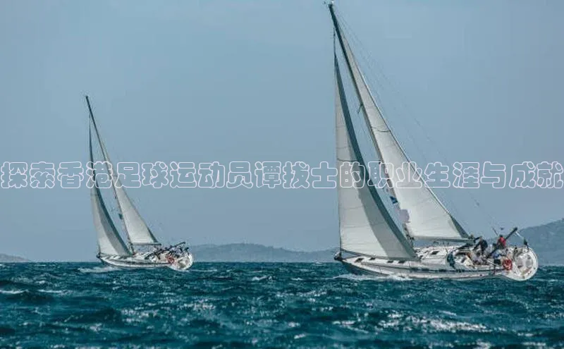 杏耀平台线路测试京东