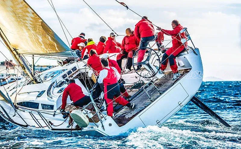 杏耀平台登录入口阿里尔公司