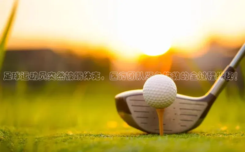 杏耀官网中心小米