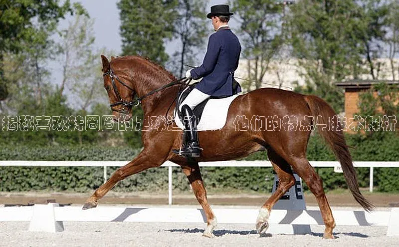 杏耀手机登录线路测速文心一言