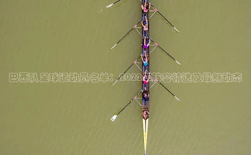 杏耀登录测速神思电子