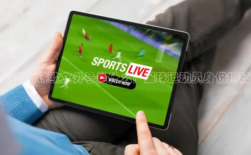 杏耀平台测速地址金山办公