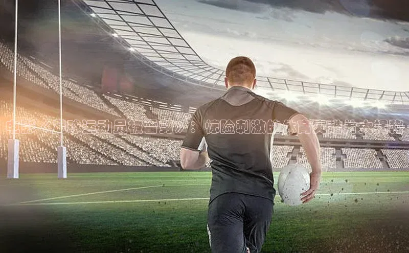 杏耀平台登录入口阿里尔公司