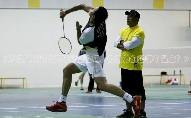 杏耀手机网页登录入口颐驰 06