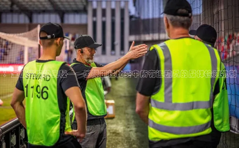 杏耀登录测速百度翻译App