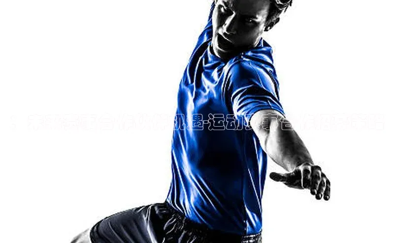 杏耀手机网页登录入口v2猫眼