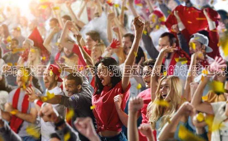 杏耀注册登录官网