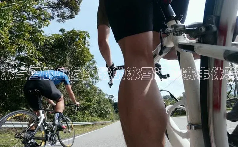 杏耀平台登录入口