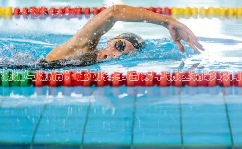 杏耀平台登录入口