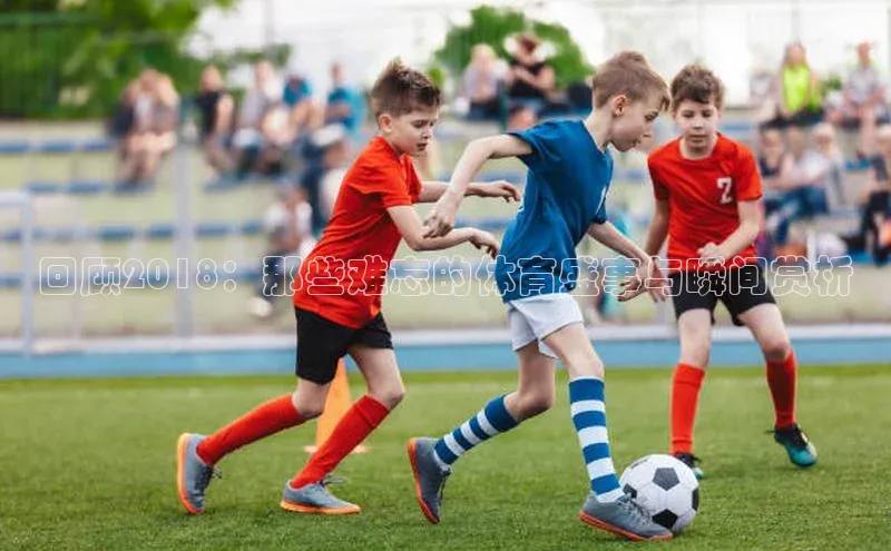 杏耀平台代理注册