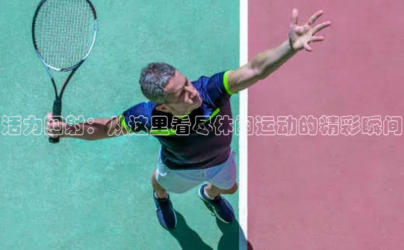 杏耀手机网页登录入口